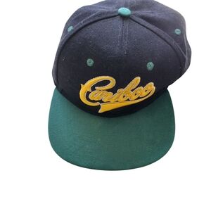 Cariboo Bear Men's Black/Green Snapback Hat